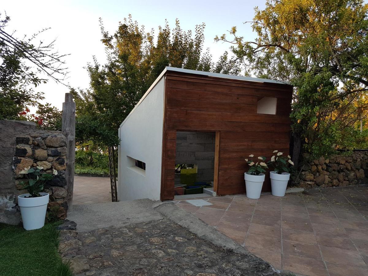 איקוד דה לוס וינוס Finca Los Ciruelos Casas Rurales מראה חיצוני תמונה