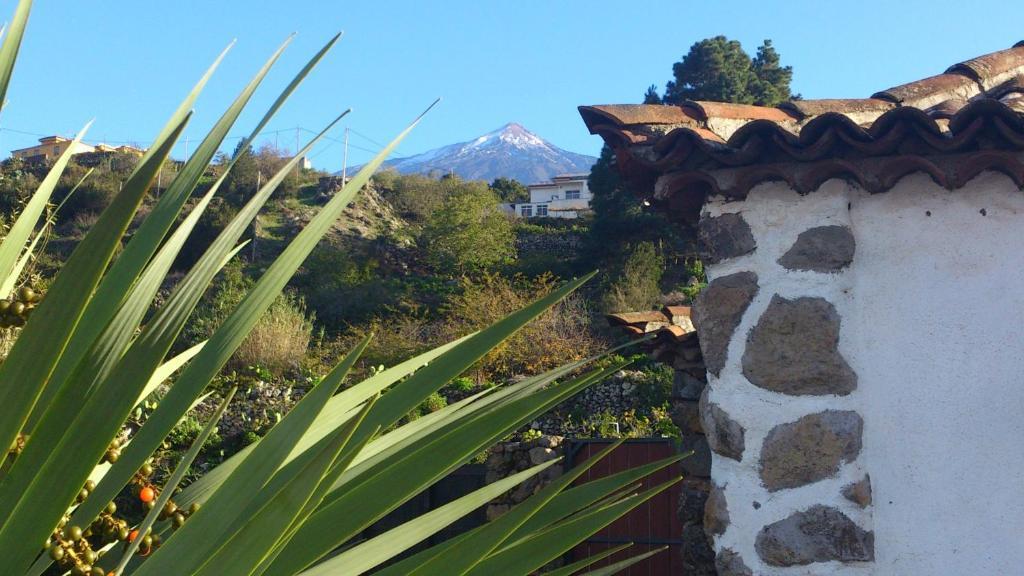 איקוד דה לוס וינוס Finca Los Ciruelos Casas Rurales מראה חיצוני תמונה