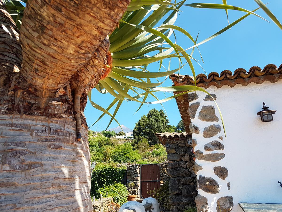 איקוד דה לוס וינוס Finca Los Ciruelos Casas Rurales מראה חיצוני תמונה